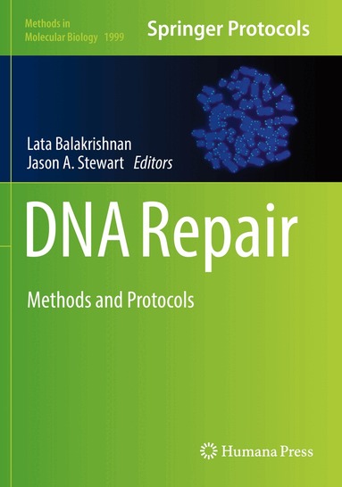 Lata Balakrishnan, Jason A. Stewart - DNA Repair, Häftad