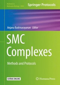 bokomslag SMC Complexes