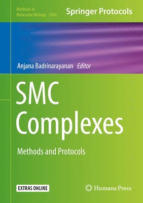 SMC Complexes 1