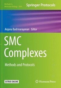 bokomslag SMC Complexes
