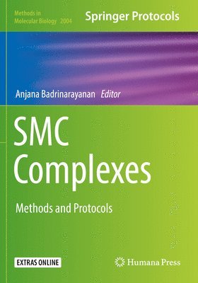 SMC Complexes 1