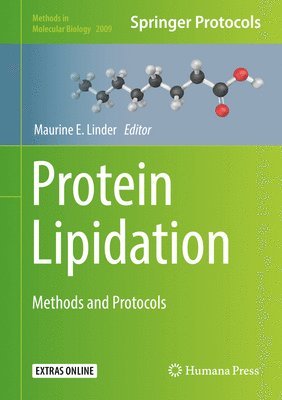 bokomslag Protein Lipidation