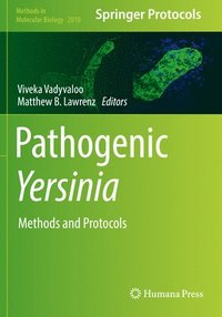 bokomslag Pathogenic Yersinia