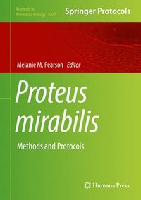 bokomslag Proteus mirabilis