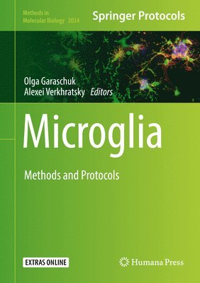 bokomslag Microglia