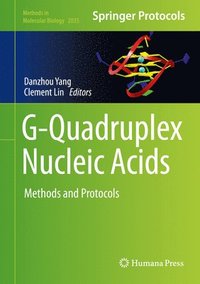bokomslag G-Quadruplex Nucleic Acids