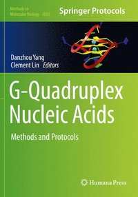 bokomslag G-Quadruplex Nucleic Acids