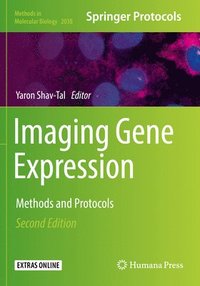 bokomslag Imaging Gene Expression