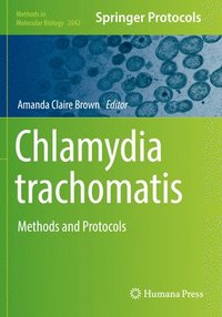 bokomslag Chlamydia trachomatis