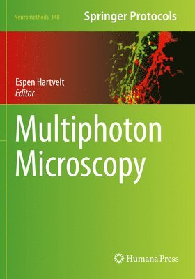 bokomslag Multiphoton Microscopy