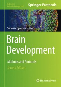 bokomslag Brain Development