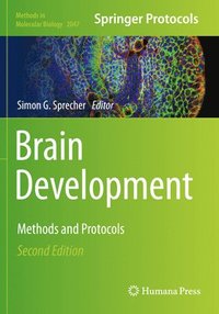 bokomslag Brain Development