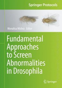 bokomslag Fundamental Approaches to Screen Abnormalities in Drosophila