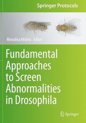 bokomslag Fundamental Approaches to Screen Abnormalities in Drosophila