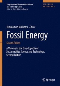 bokomslag Fossil Energy