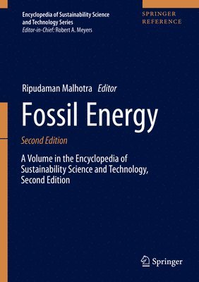 bokomslag Fossil Energy