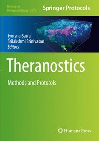 bokomslag Theranostics