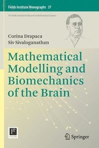 bokomslag Mathematical Modelling and Biomechanics of the Brain