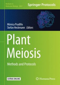 bokomslag Plant Meiosis