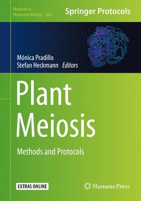 Plant Meiosis 1