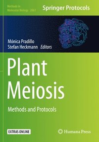 bokomslag Plant Meiosis
