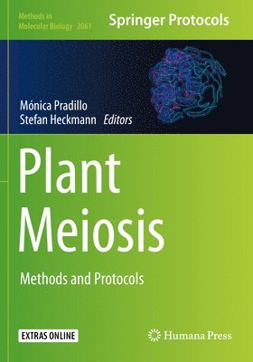 Plant Meiosis 1