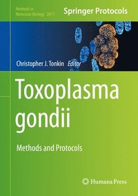 bokomslag Toxoplasma gondii