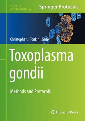 Toxoplasma gondii 1