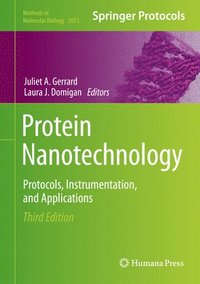 bokomslag Protein Nanotechnology