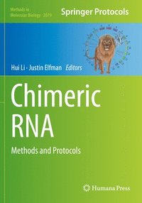 bokomslag Chimeric RNA