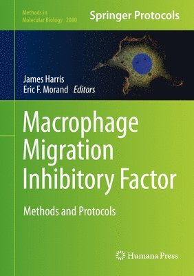 Macrophage Migration Inhibitory Factor 1