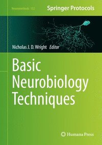 bokomslag Basic Neurobiology Techniques