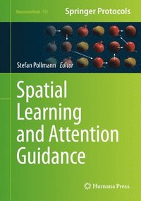 bokomslag Spatial Learning and Attention Guidance