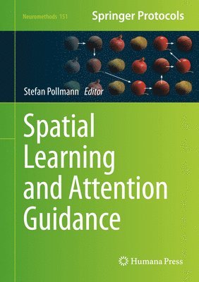 Spatial Learning and Attention Guidance 1