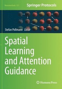 bokomslag Spatial Learning and Attention Guidance