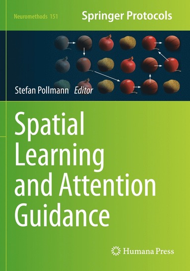 bokomslag Spatial Learning and Attention Guidance