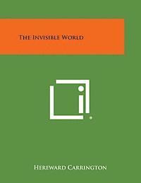 bokomslag The Invisible World