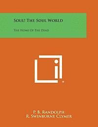 Soul! the Soul World: The Home of the Dead 1