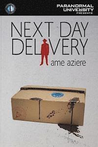 Next Day Delivery 1