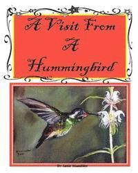 A Visit From A Hummingbird 1