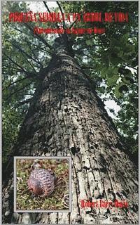 bokomslag Pequeña Semilla a un Árbol de Vida: Encontrando su Lugar en Dios