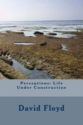 Perceptions: Life Under Construction 1