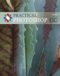 bokomslag Practical Photoshop CC Level 1: Practical Photoshop CC Level 1