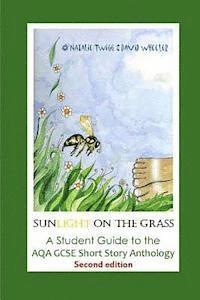 bokomslag Sunlight on the Grass: A Student Guide to the AQA GCSE Short Story Anthology