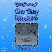 bokomslag Beyond The Tiny Window: Winter