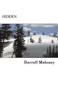 Hidden 1