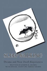 bokomslag Sleepwalking: Dreams and Near Death Experiences