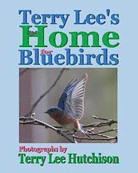 bokomslag Terry Lee's Home for Bluebirds