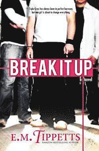 bokomslag Break It Up