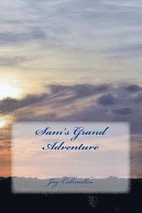 bokomslag Sam's Grand Adventure